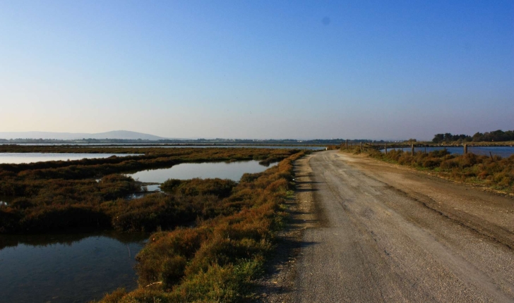 Balade De Villeneuve Les Maguelone 34 Les Etangs Et La Plage Du Pilou Balade Randonnee Pres De Chez Vous