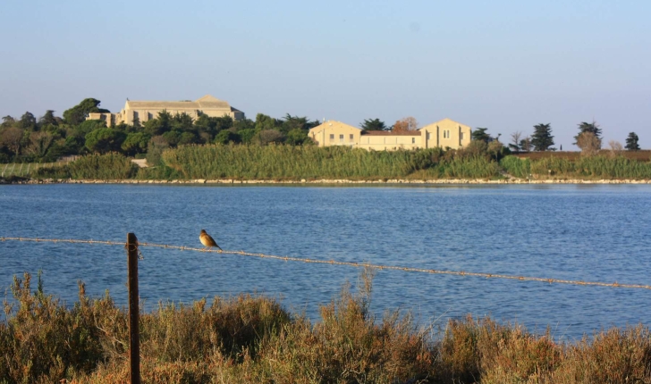 Balade De Villeneuve Les Maguelone 34 Les Etangs Et La Plage Du Pilou Balade Randonnee Pres De Chez Vous