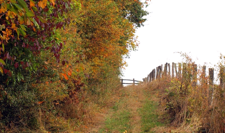 Balade De Vendome 41 Lavardin Et Son Chateau Balade Randonnee Pres De Chez Vous